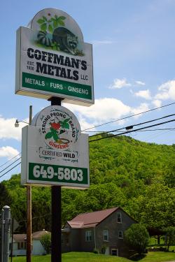 Tony Coffman ginseng business