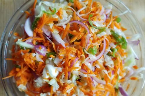 Shredded green cabbage, orange carrots, purple onions, and green pepper ready for pickling.