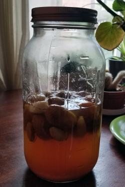 A large glass jar half full of amber liquid and whole garlic cloves.