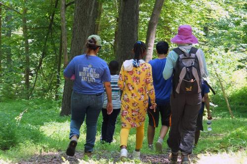 Five people hiking through a lush green area, facing away from the camera.