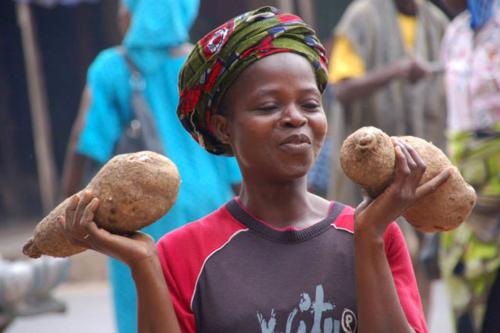 Yams