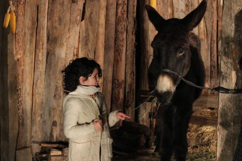 Living Nativity Scene of Joanetes