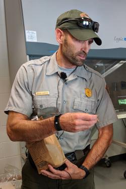 A a man in khaki park ranger gear holds up a piece of ginseng root for a photographer out of frame.