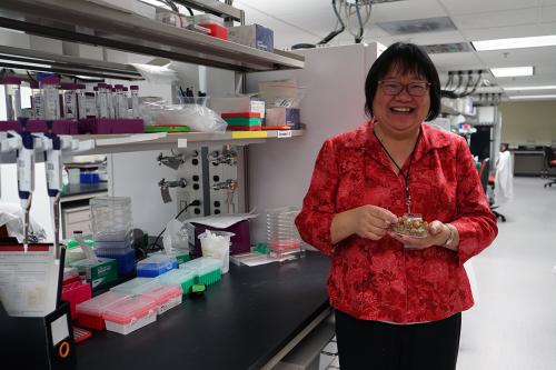 June Wen, Smithsonian botanist