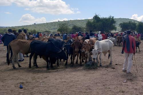 Black, brown, and white cows huddled in a semicircle, crowds of people in the background.