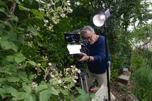 A man looks through the lens of a professional camera on a tripod, with a lighting fixture aimed at white flowers of a bush.