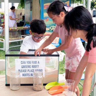 Three young kids crowd around a glass terrarium full of light colored sand. Two of them reach their hands inside. A sign on the glass reads CAN YOU FIND A GINSENG ROOTS? PLEASE PLACE FOUND ROOTS IN JAR.