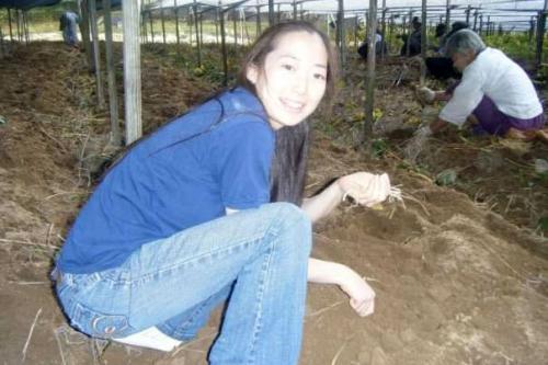 A young woman kneels on the ground holding up thin, tan ginseng roots. Other people behind her harvest the roots under a shade tarp.