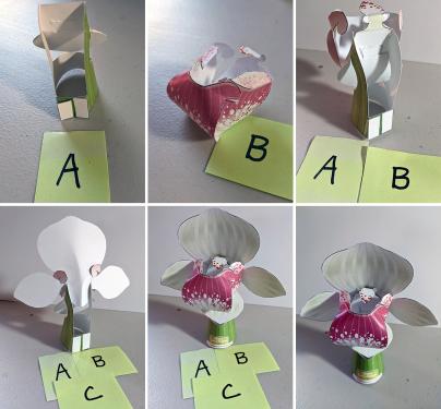 Six photos in a grid, showing the steps of assemble the orchid model.