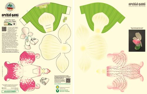 Both sides of a PDF template, with instruction to cut out and fold three pieces to assemble an orchid paper model.