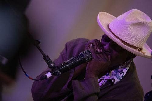 A man plays harmonica on stage.