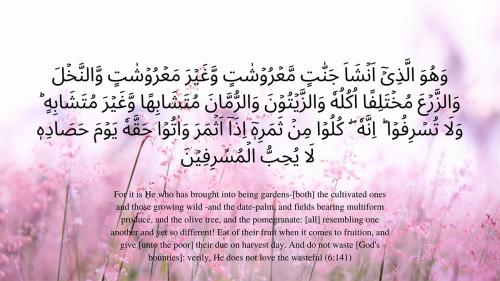 Arabic script over a photo of pink flowers and bright white sky. The verse is translated into English: For it is He who has brought into being gardens - [both] the cultivated ones and those growing wild - and the date-palm, and fields bearing multiform pr