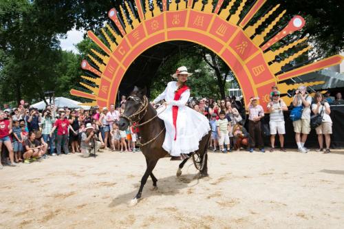 2015 Festival