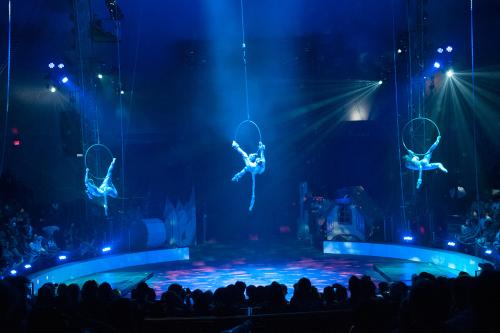 Circus Juventas Wonderland