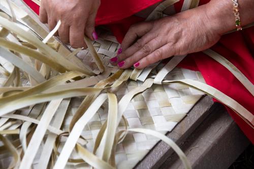 Close-up on a [pair of hands with pink nail polish as a person weaves a mat from beige strands of flat grass.
