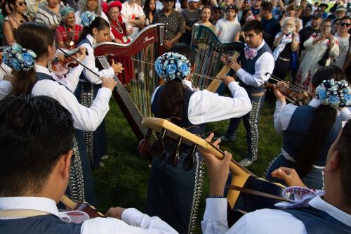 Close-up of the Mexican harpists, vihuela, and violin players of the Mariachi Aztlán high school group from Tucson, Arizona, during the closing ceremony of the second alfombra.