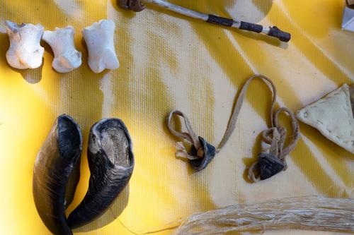On a yellow tablecloth, three white vertebrae, a bone with curling cartilage on one end, two hollow horns, and two smaller conical pieces connected by a strip of leather.