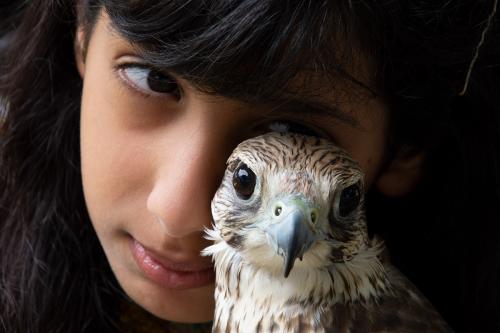 Close-up of a young girl nuzzling the head of a cream and brown falcon against her cheek.