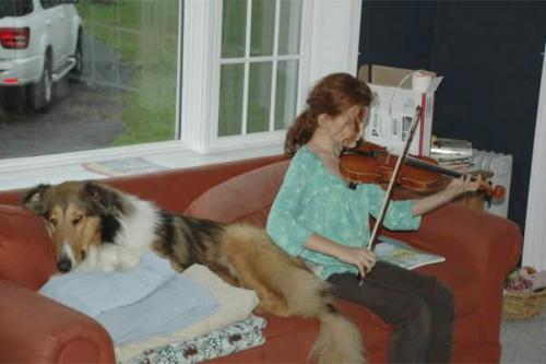 A young girl with red hair that covers her face and a light blue shirt sits on an orange sofa playing the violin; A Rough Collie lays on the couch next to her.