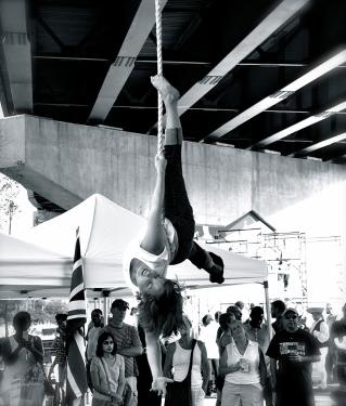 UpSpring Studio