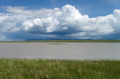 Small lake of brownish water, surrounded by green grass and under blue sky with dramatic cumulus clouds.