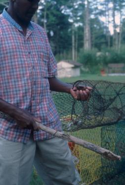Photo by James Di Loreto, courtesy Smithsonian Institution.