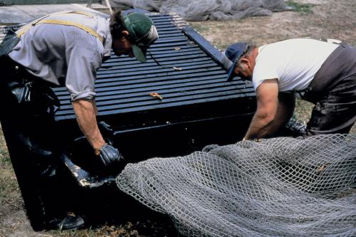 Photo by Francisco X. Guerra, Ralph Rinzler Archives and Collections, Smithsonian Institution