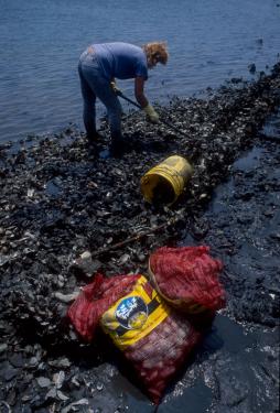Photo by James Di Loreto, courtesy Smithsonian Institution.