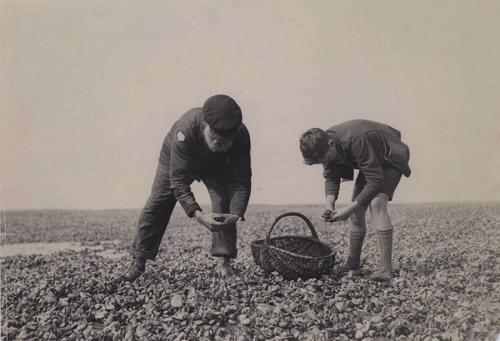 Photo courtesy of Conwy Archive Service
