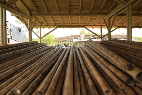 Warehouse of drying bamboo, photo by and courtesy of Ivonne Valencia