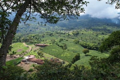 Coffee region, photo by Cristina Diaz-Carerra, Smithsonian Institution