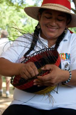 Foto de Amulya Mandava, Smithsonian Institution