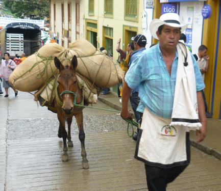 Photo by Germán Ferro Medina