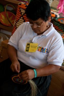 Foto de Amulya Mandava, Smithsonian Institution