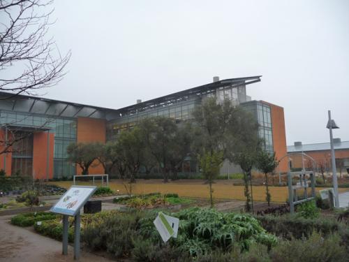 The Mondavi Center with gardens and olive trees.
