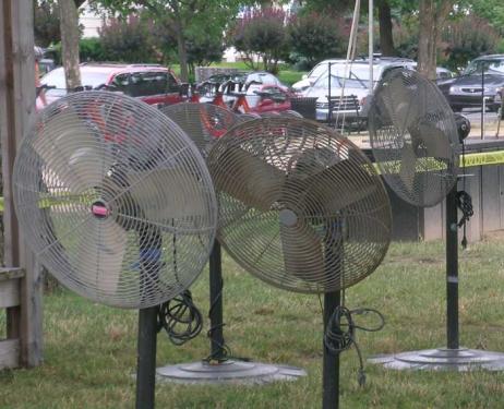 Keep an eye out for these fans that will keep festival visitors and participants cool during the weeks ahead.