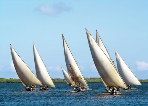 Photo by and courtesy of David Coulson/TARA