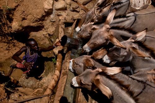 Photo by Juan Pablo Moreiras/FFI, courtesy of Northern Rangelands Trust