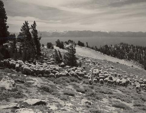 Photo by Gus Bundy, courtesy of the Jon Bilbao Basque Library, University of Nevada-Reno Library