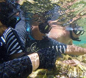 Three snorklers underwater.
