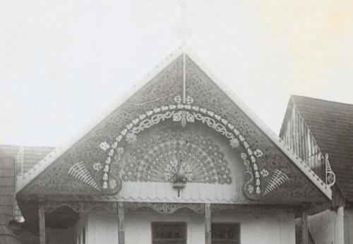 Why the Peacock?