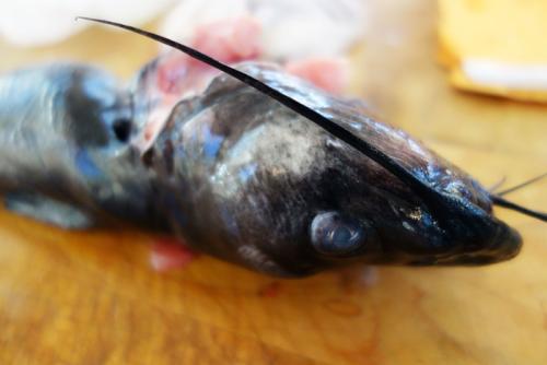 Freshly butchered fish waiting to be stewed. 