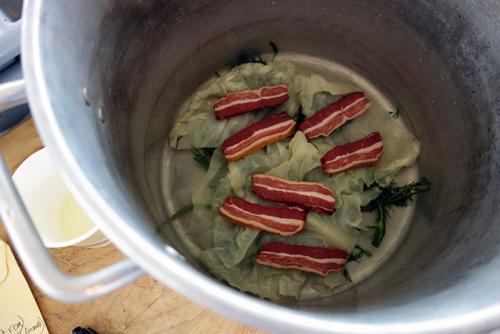 Töltött Káposzta / Stuffed Cabbage Rolls
