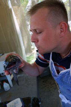 Inspecting the fish.