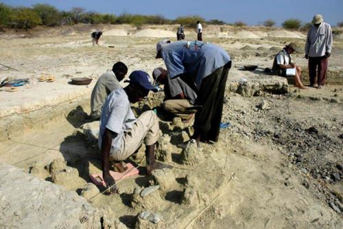 The excavation team at Olorgesailie finds multiple layers of handaxes and other ancient artifacts, indicating where early humans were making, using, and discarding their tools. Photo by Briana Pobiner, courtesy of Human Origins Program, Smithsonian Nation