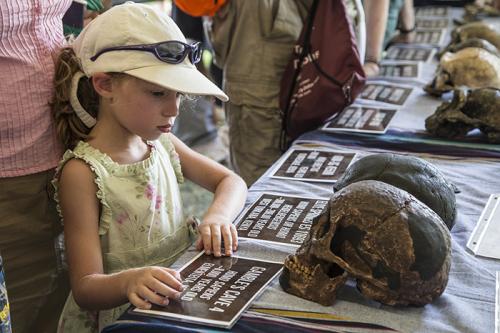 Face to face with Human Origins.