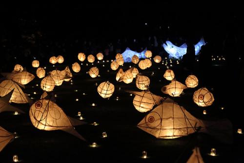At an event in Newtown, Mid-Wales, commissioned by the Severn Rivers Trust, the community created lanterns inspired by the migration of the salmon which they paraded across the town before placing them in the River of Light. Photo courtesy of Sean Harris