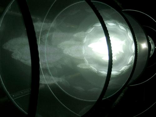 <em>Y Dynfa Lés</em> is projected within a specially built sculpture, giving off a gauze effect as if looking back through time. Photo courtesy of Sean Harris